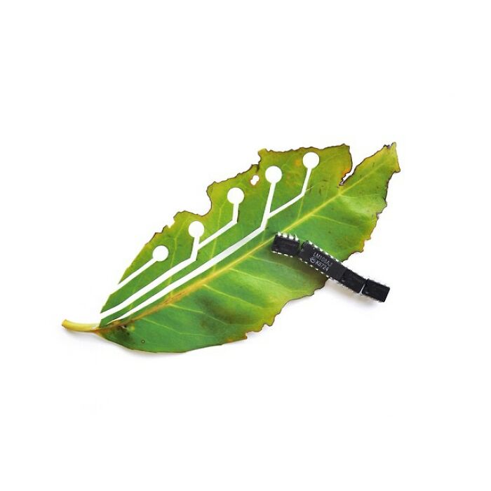 Artist Creates Simple And Clever Illustrations By Combining Everyday Objects (15 Pics)