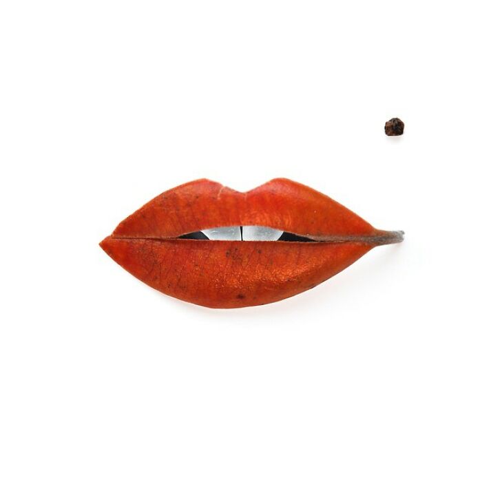 Artist Creates Simple And Clever Illustrations By Combining Everyday Objects (15 Pics)