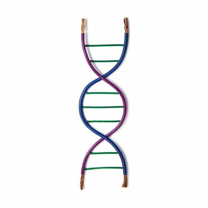 Artist Creates Simple And Clever Illustrations By Combining Everyday Objects (15 Pics)