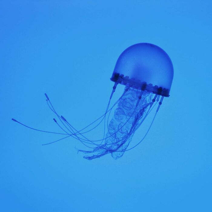 Artist Creates Simple And Clever Illustrations By Combining Everyday Objects (15 Pics)