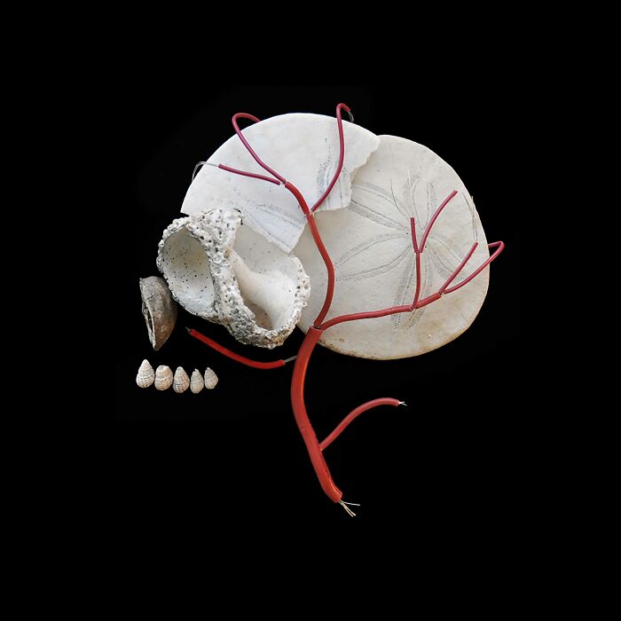 Artist Creates Simple And Clever Illustrations By Combining Everyday Objects (15 Pics)