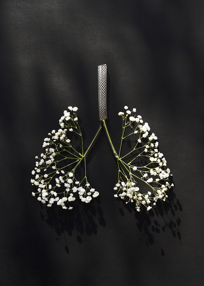 Artist Creates Simple And Clever Illustrations By Combining Everyday Objects (15 Pics)