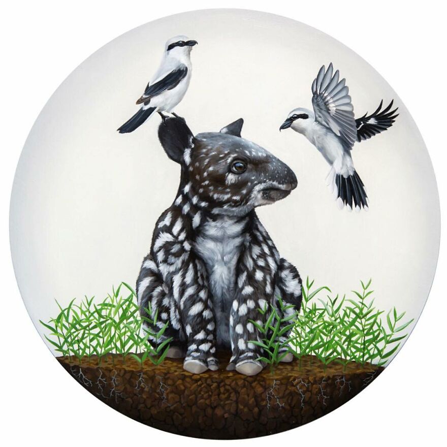 Artist Draws Inspiration From Nature To Make His Surreal Paintings