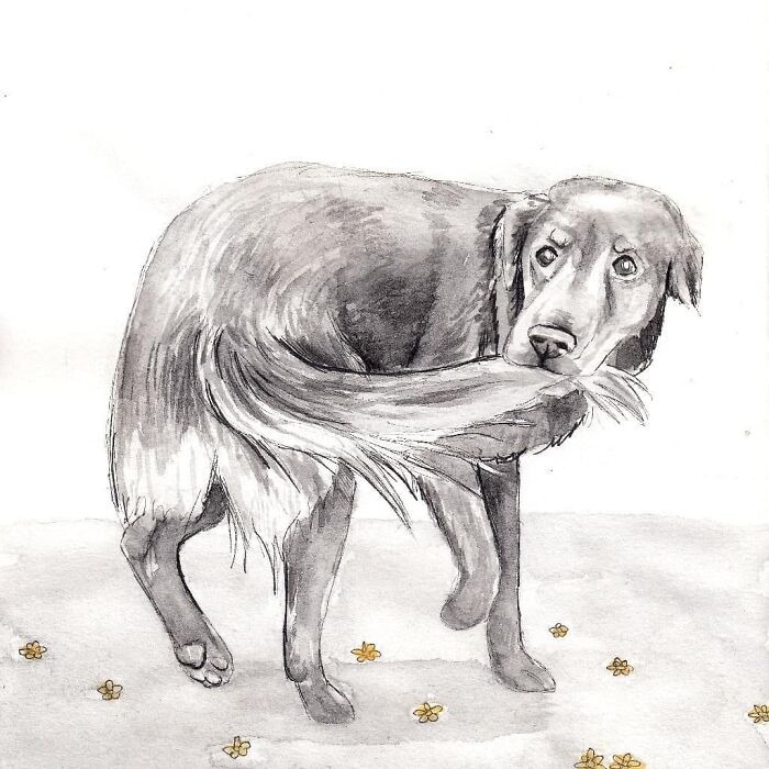 I Paint Watercolour Pet Portraits