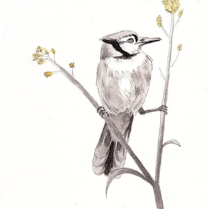 I Paint Watercolour Pet Portraits