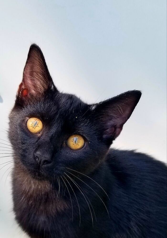 Batman And His Crazy Eyes