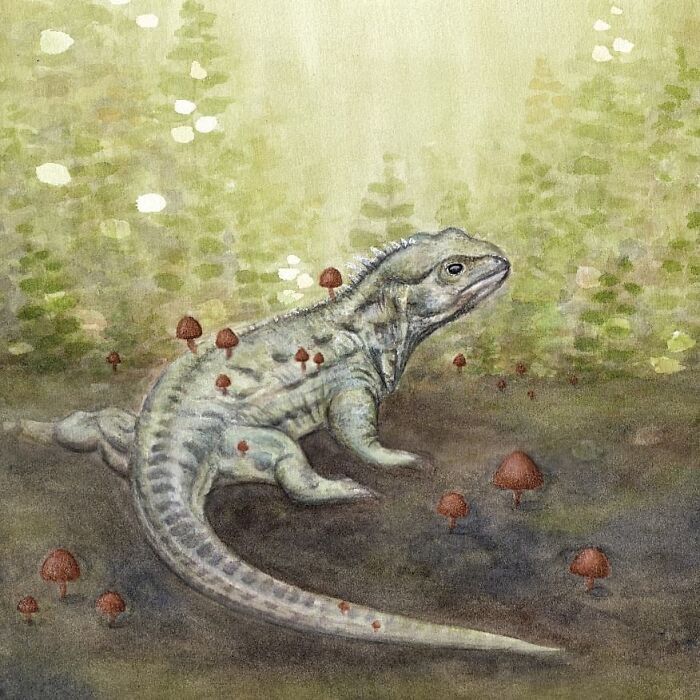 I Paint Watercolour Pet Portraits