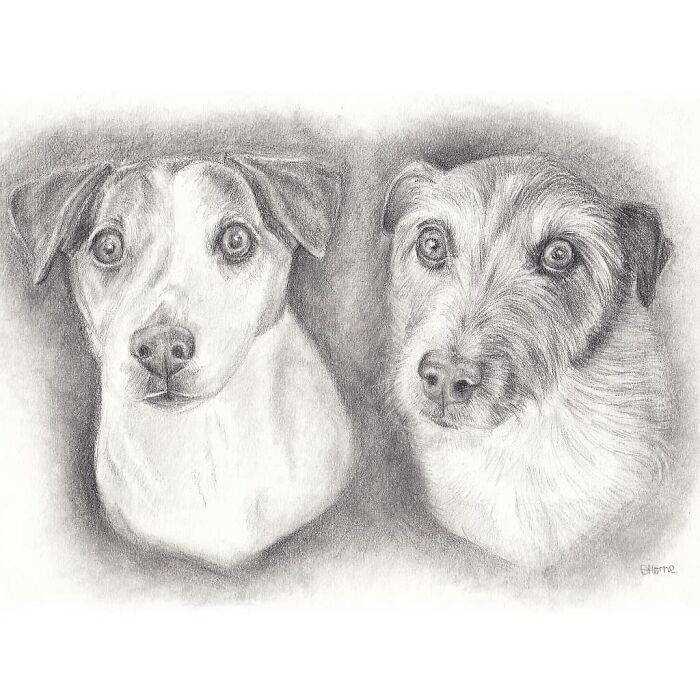 I Paint Watercolour Pet Portraits