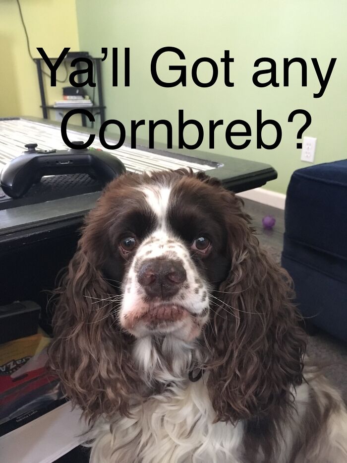 He Makes The Best Expressions.