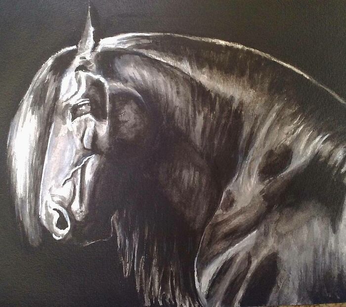 I Paint Watercolour Pet Portraits