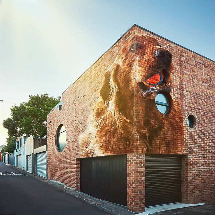 Been Learning Photoshop - Our Dog Photoshopped As A Street Mural