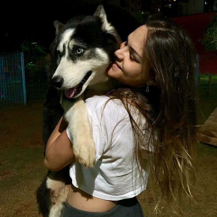 Owners Exploited This Husky Until She Could No Longer Walk And Produce Puppies - This Woman Gave Her A Second Chance In Life