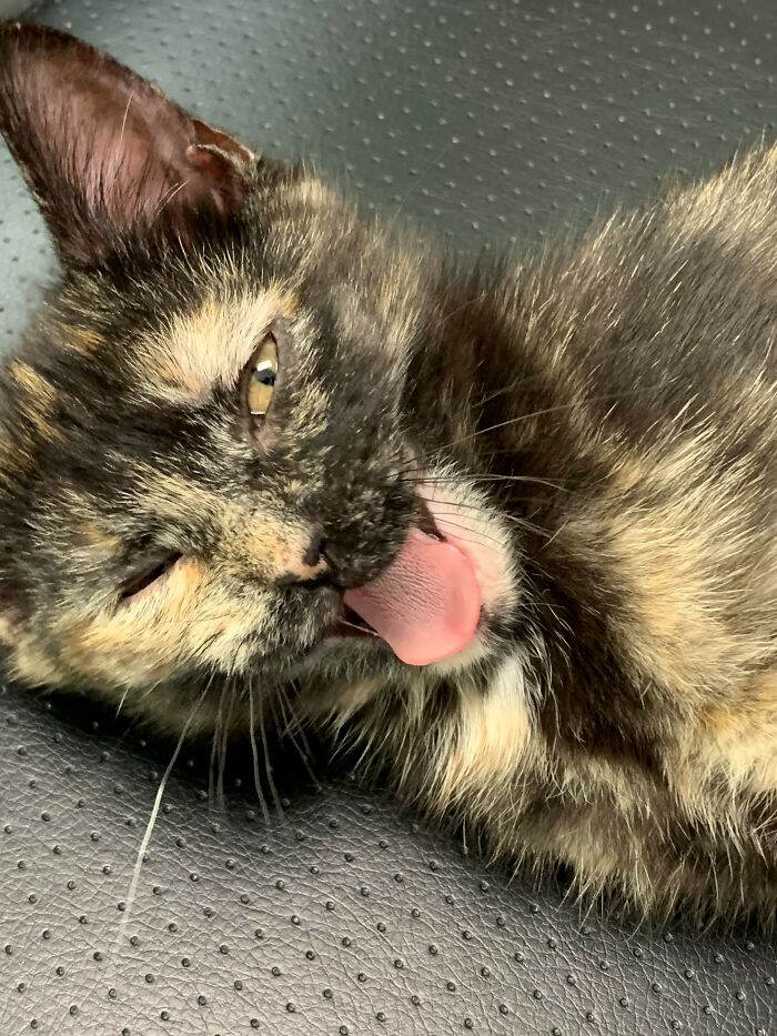 Beanie Weinee. She Had A Rough Day At Work....