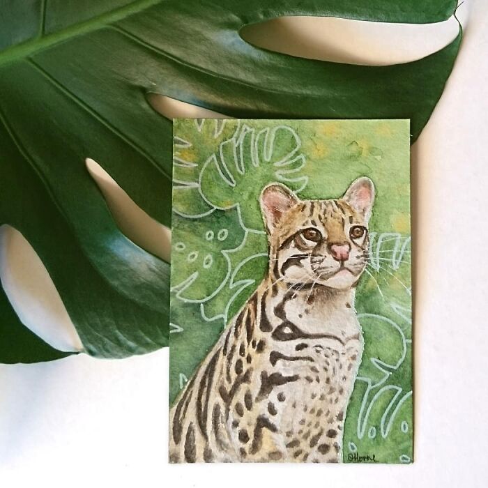 I Paint Watercolour Pet Portraits