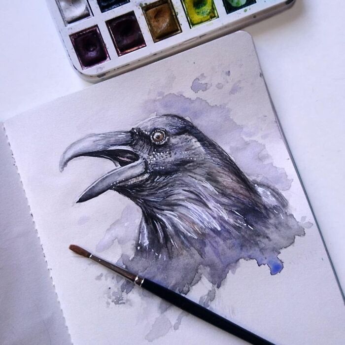 I Paint Watercolour Pet Portraits