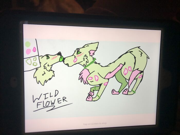 My Friend’s Custom She’s Also A Furry: Aqua The Protogen! Any Way Here’s Her Custom Wild Flower!