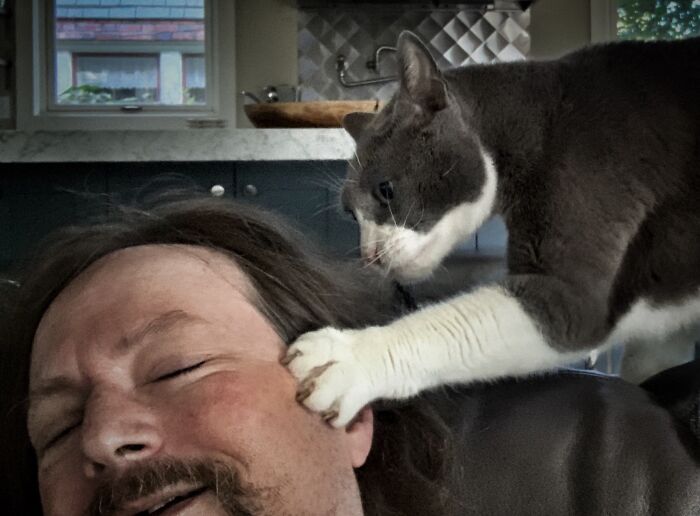 I Am A Cat Sitter. Client Cat, Taz, Is A Big Sweetheart. For A Moment He Thought That My Face Was A Toy.