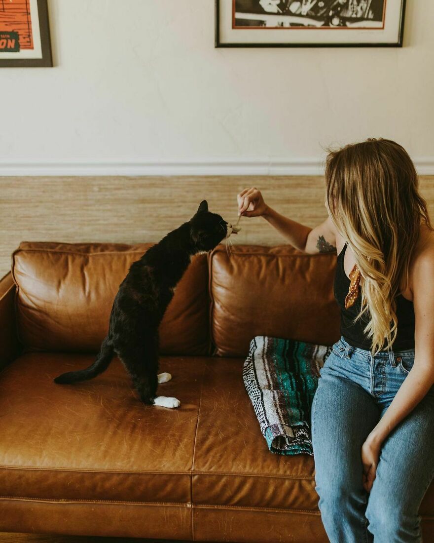 Cat Owner Sets Up An Instagram Account For Her Two-Legged Cat And Shares Her Cat's Inspiring Rehabilitation Story