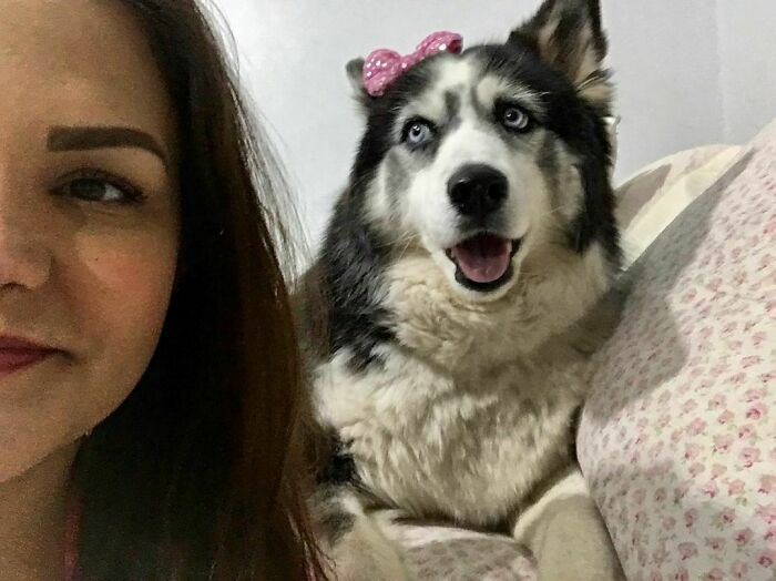 Owners Exploited This Husky Until She Could No Longer Walk And Produce Puppies - This Woman Gave Her A Second Chance In Life Owners Exploited This Husky Until She Could No Longer Walk And Produce Puppies - This Woman Gave Her A Second Chance In Life