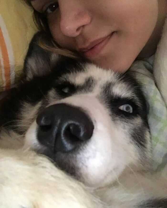 Owners Exploited This Husky Until She Could No Longer Walk And Produce Puppies - This Woman Gave Her A Second Chance In Life