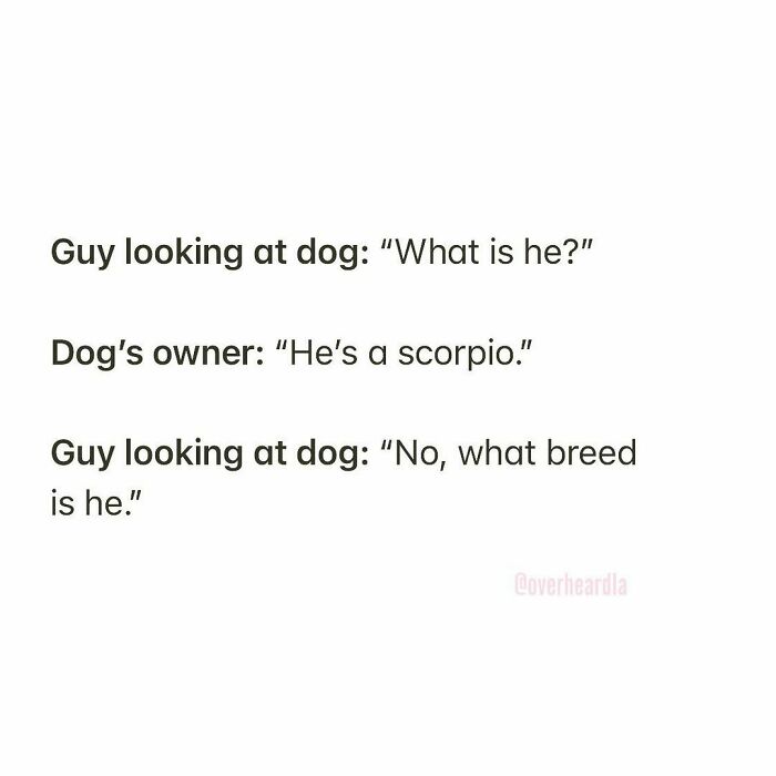 Overheard-Conversations-La