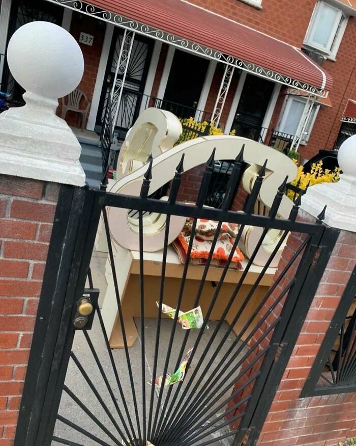 Do You See What I See?