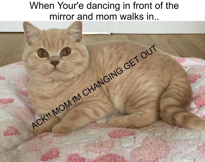 When Your'e Dancing In Front Of The Mirror And Mom Walks In