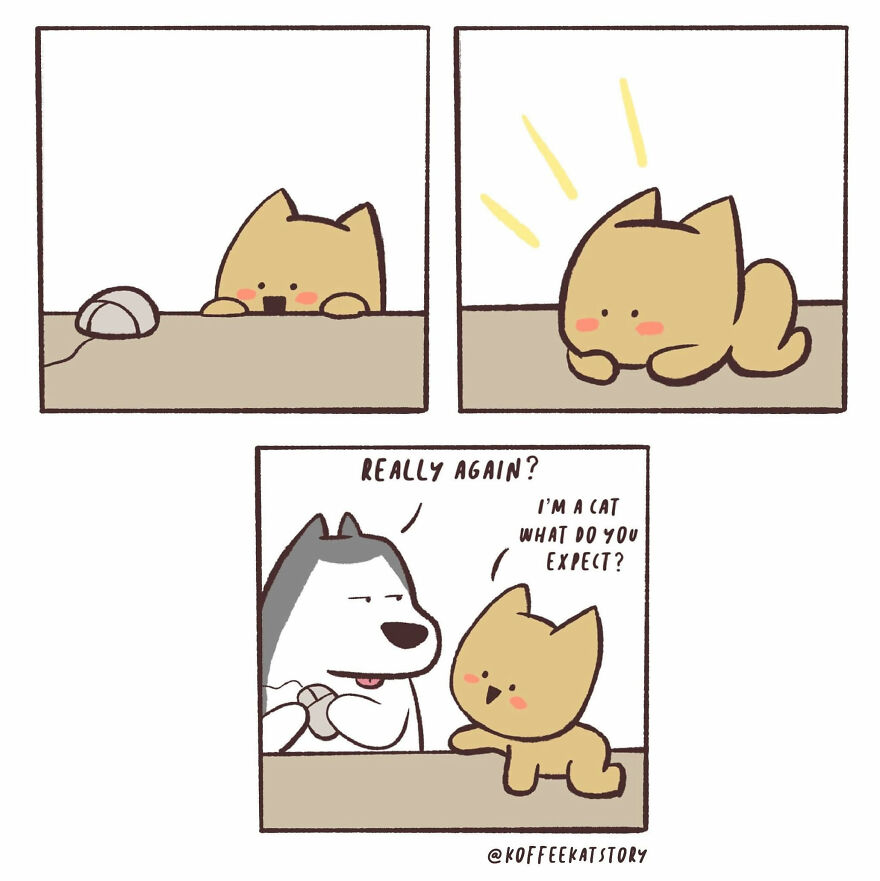 Cute-Animal-Comics-Koffee-Kat-Story-Arisa-Veeravitayases