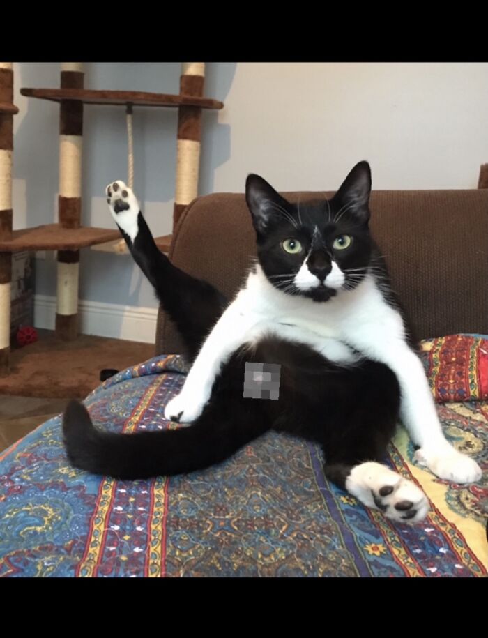 Keanu In Allhis Glory