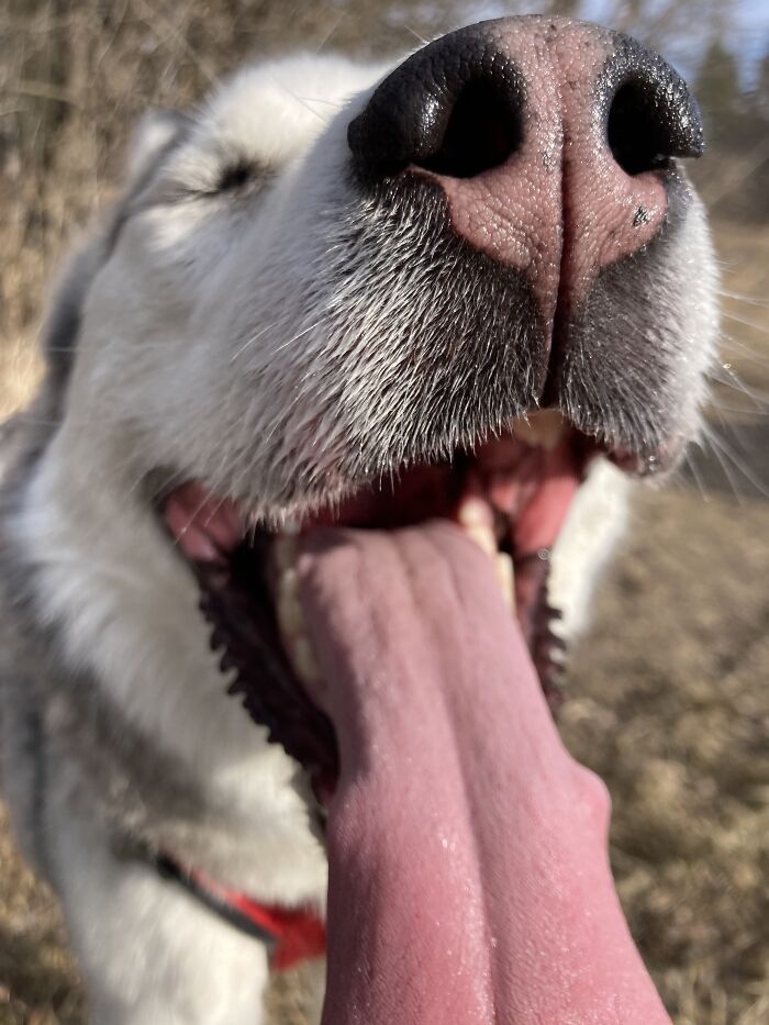 Basking In The Sun Post 6 Miles Bike Run