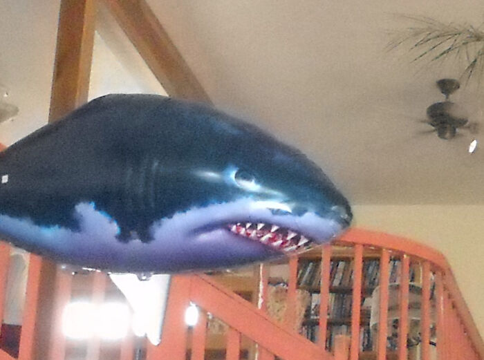 The Security System Looks Fairly Adequate.