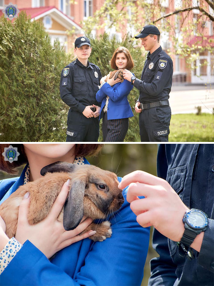 This Police Rabbit Joined The Ukrainian Police Force For A Day This Police Rabbit Joined The Ukrainian Police Force For A Day
