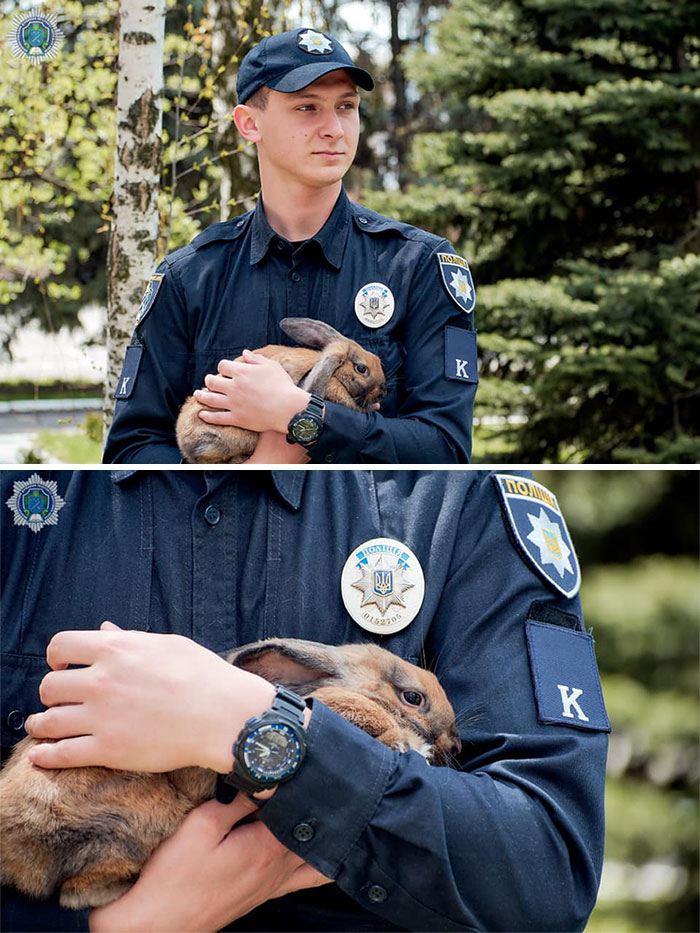 This Police Rabbit Joined The Ukrainian Police Force For A Day This Police Rabbit Joined The Ukrainian Police Force For A Day