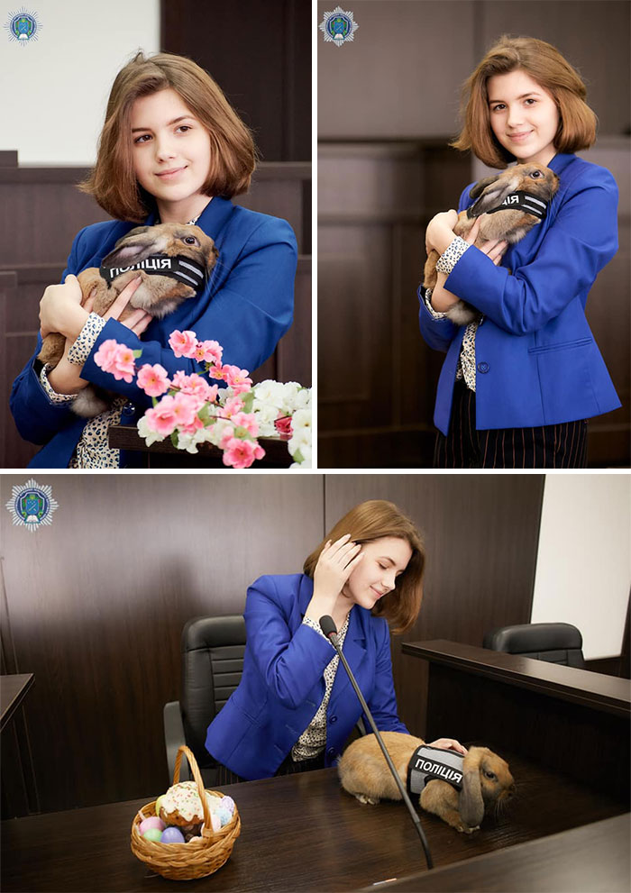 This Police Rabbit Joined The Ukrainian Police Force For A Day This Police Rabbit Joined The Ukrainian Police Force For A Day