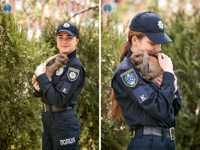 This Police Rabbit Joined The Ukrainian Police Force For A Day This Police Rabbit Joined The Ukrainian Police Force For A Day