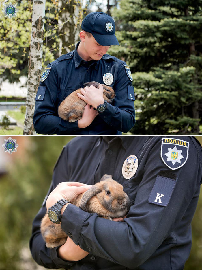 This Police Rabbit Joined The Ukrainian Police Force For A Day This Police Rabbit Joined The Ukrainian Police Force For A Day