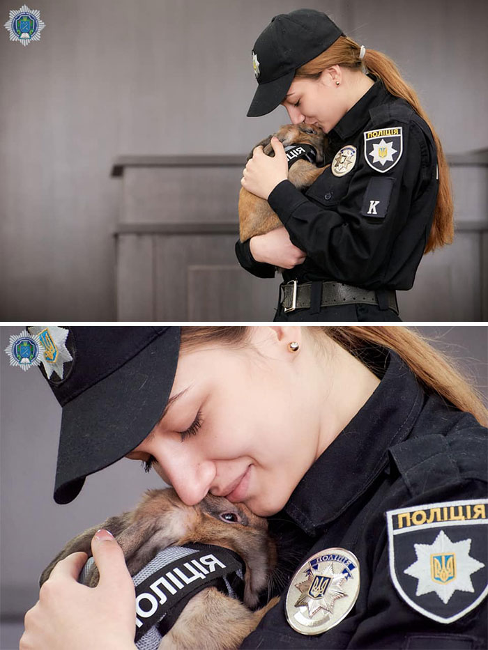 This Police Rabbit Joined The Ukrainian Police Force For A Day This Police Rabbit Joined The Ukrainian Police Force For A Day
