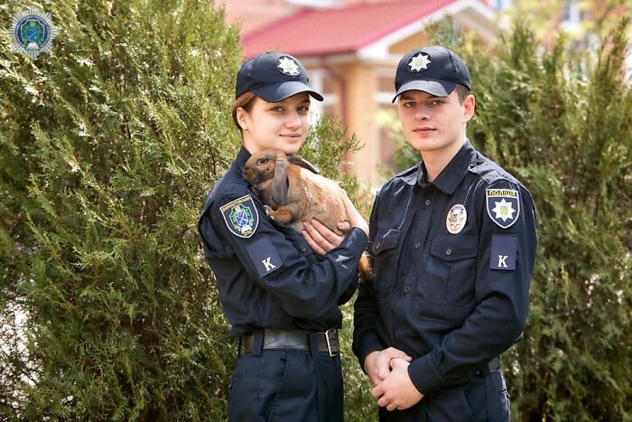 This Police Rabbit Joined The Ukrainian Police Force For A Day This Police Rabbit Joined The Ukrainian Police Force For A Day