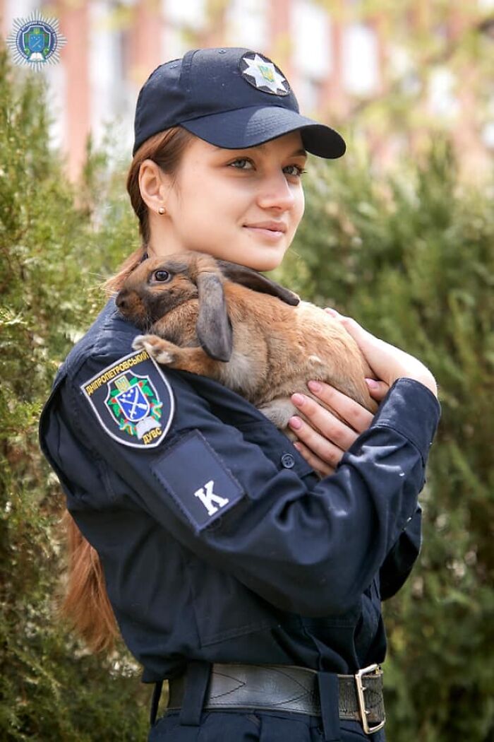 This Police Rabbit Joined The Ukrainian Police Force For A Day This Police Rabbit Joined The Ukrainian Police Force For A Day
