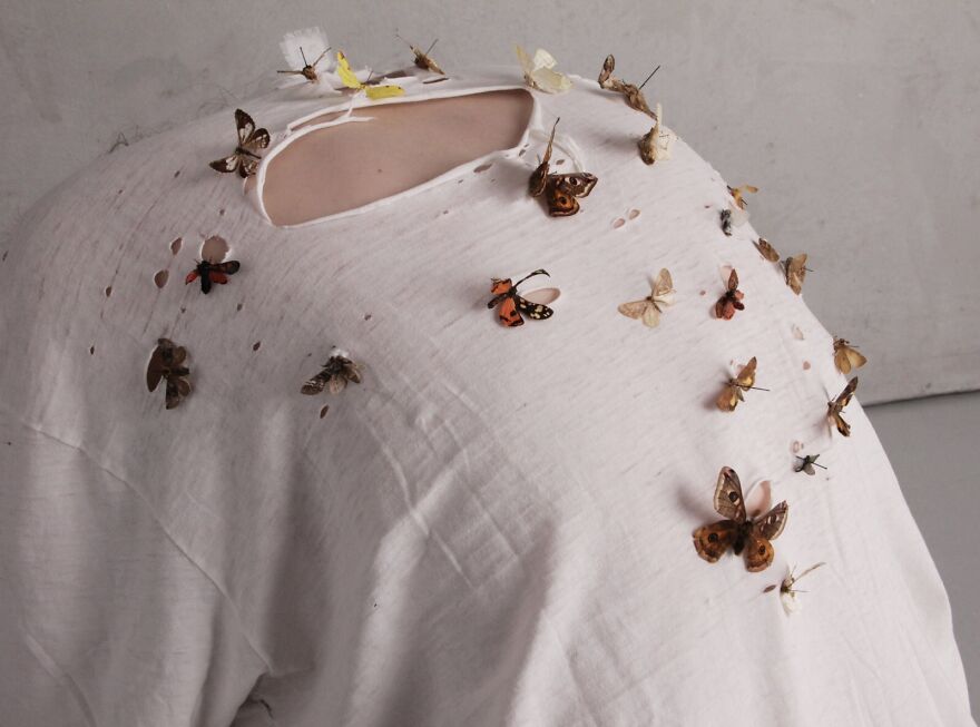 For My Father/ Moths