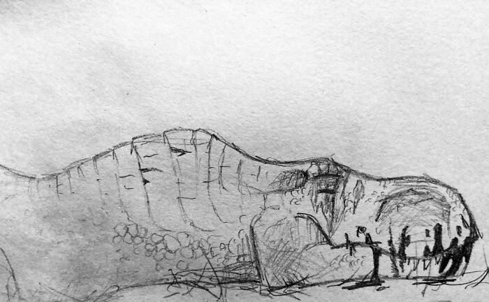 This Is Durga. She Is A Blind Rexy, But Is Extremely Capable. Her Best Friend Is A Lioness Named Baobab.