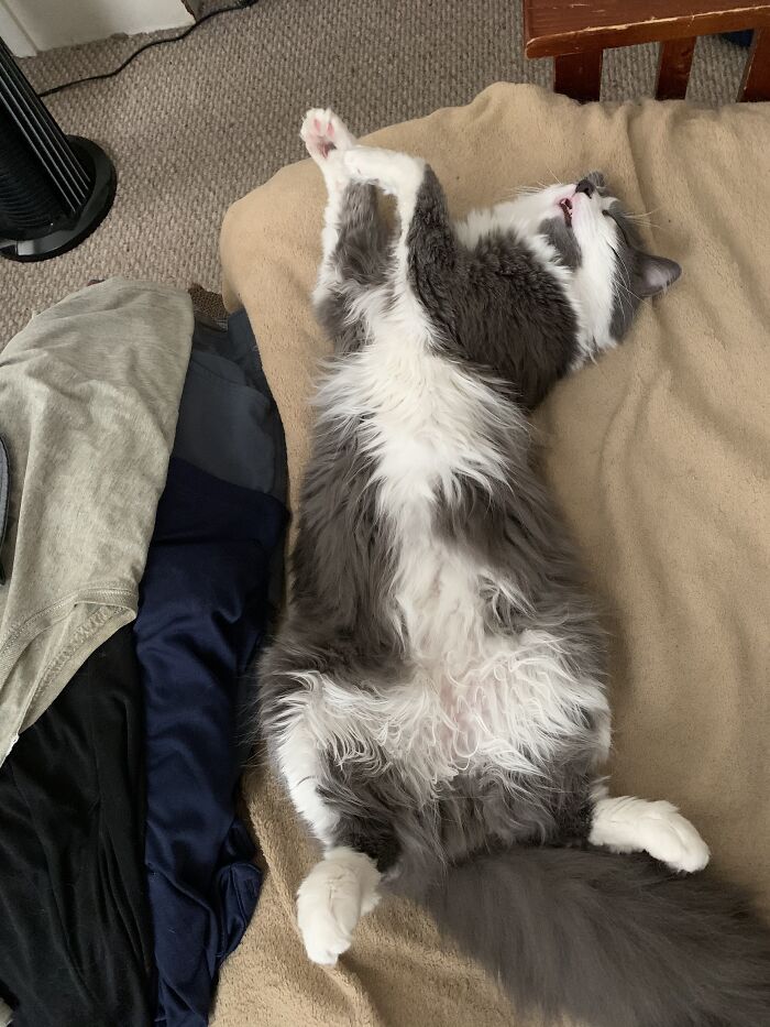 Heard Snoring...this Was The Source