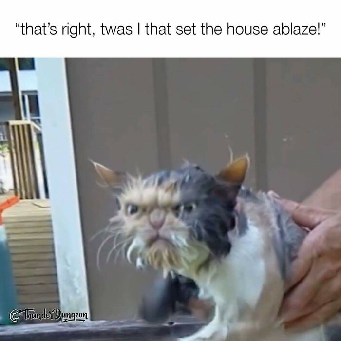 This Puts Me Into Giggle Fits Every Time