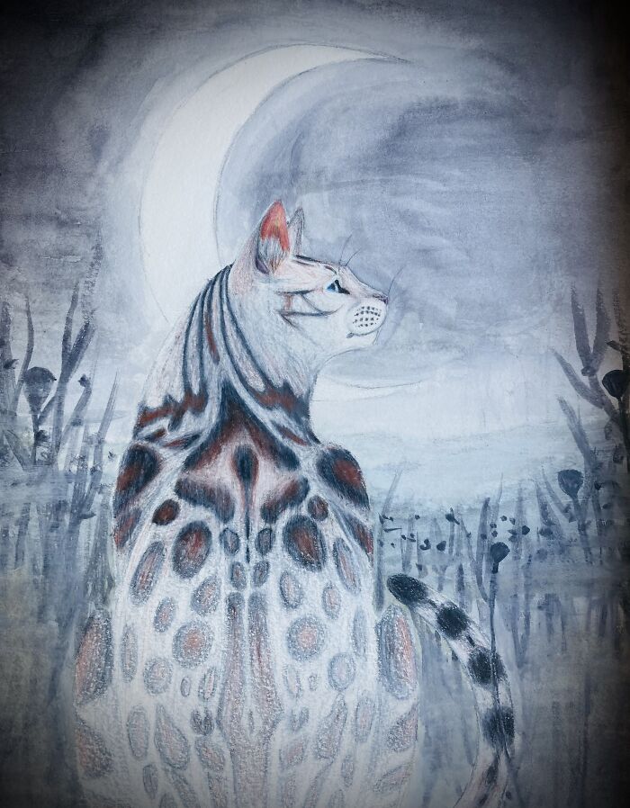 A Book Cover Commissioned By A Friend.