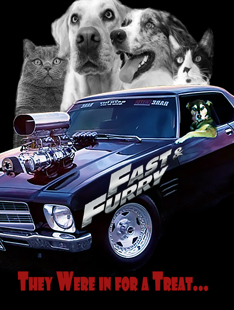 Fast-Furry-609c211cf29ef.jpg