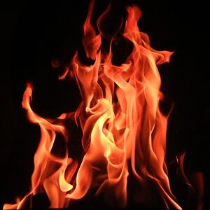 shadowfalltheexplorer avatar