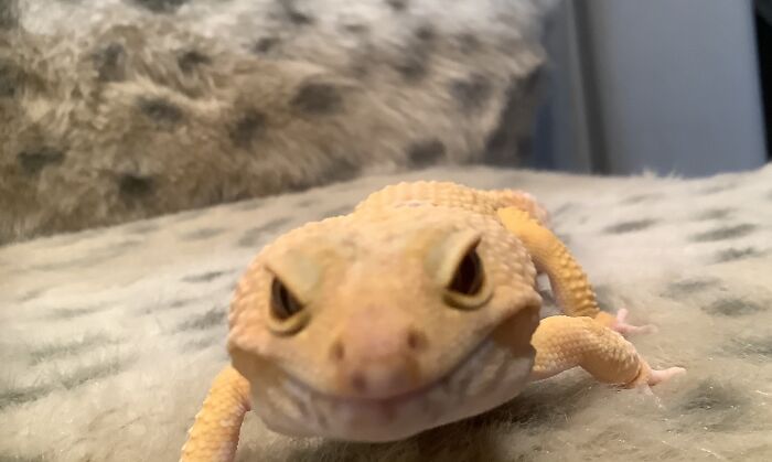 Almost All Of My Photos Are Selfies Of Freddy