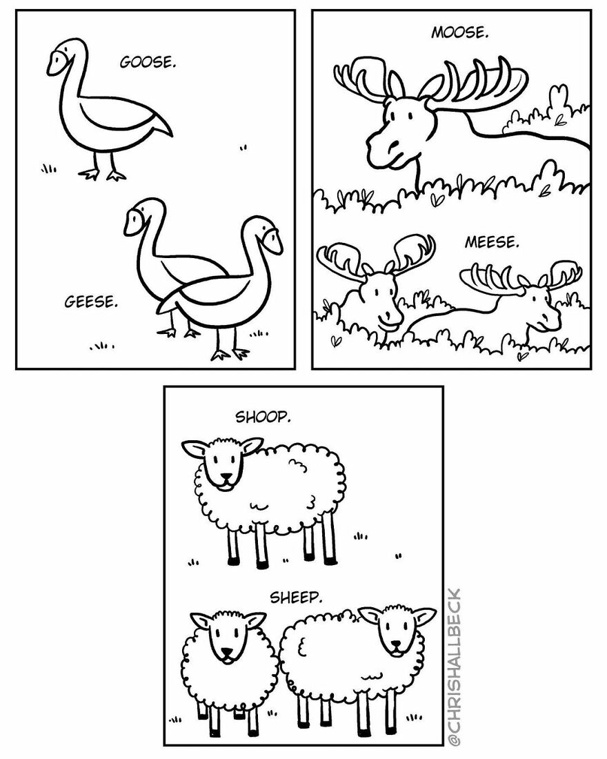 Funny Comics With Surprising Endings By Chris Hallbeck (New Pics)