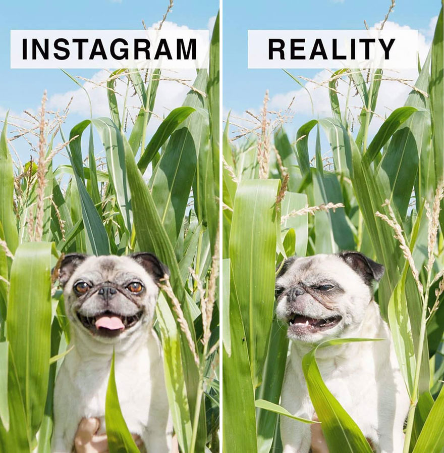 Instagram-vs.-Reality-Photo-Series-Geraldine-West-Part-2