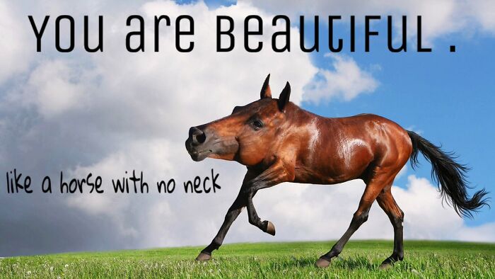 Something I Found On Twitter A While Ago